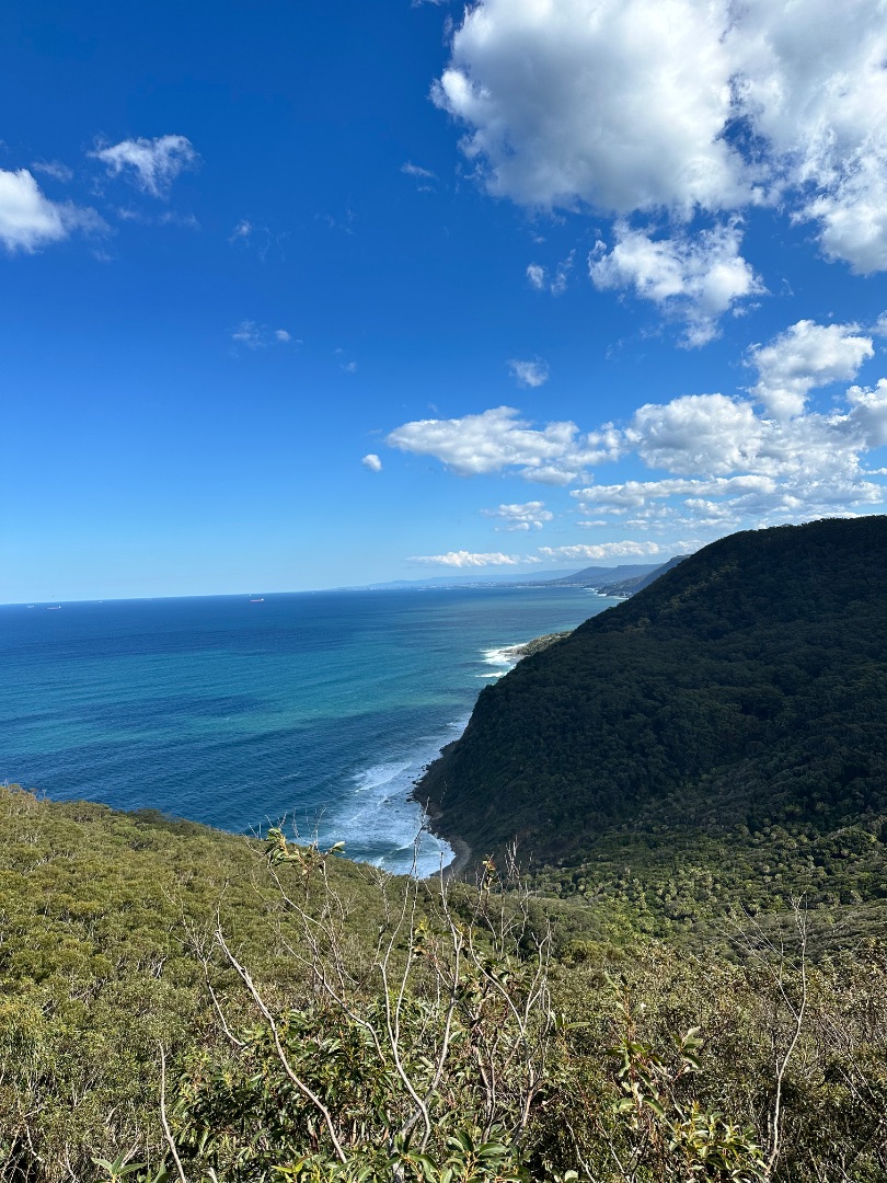 Sydney Continued photo 14