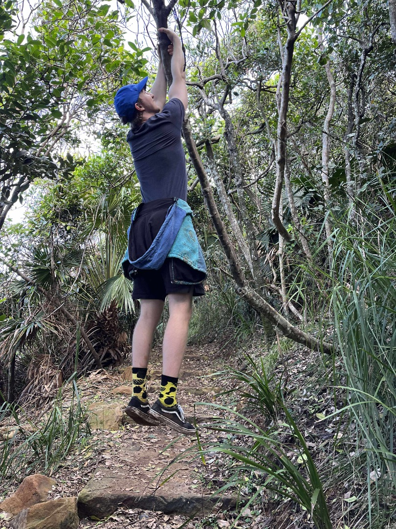 Sydney Continued photo 15